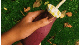 Vegan Blueberry Peanut Butter Smoothy